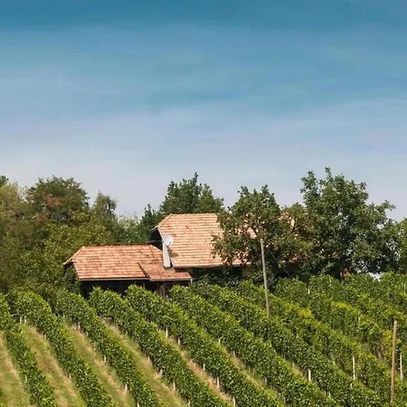 Rustic Charm With Sauna - Five Bedroom With Sauna *