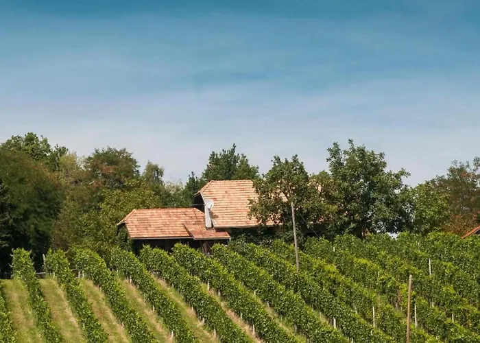 Rustic Charm With Sauna - Five Bedroom With Sauna *